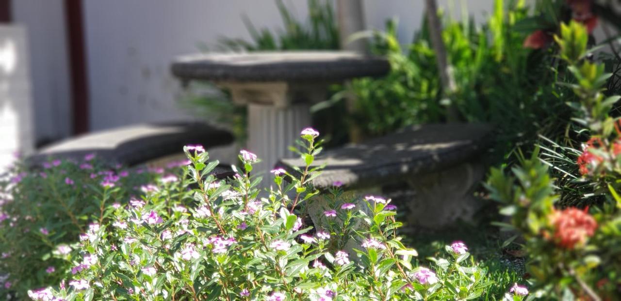 Alajuela City Hotel & Guest House المظهر الخارجي الصورة