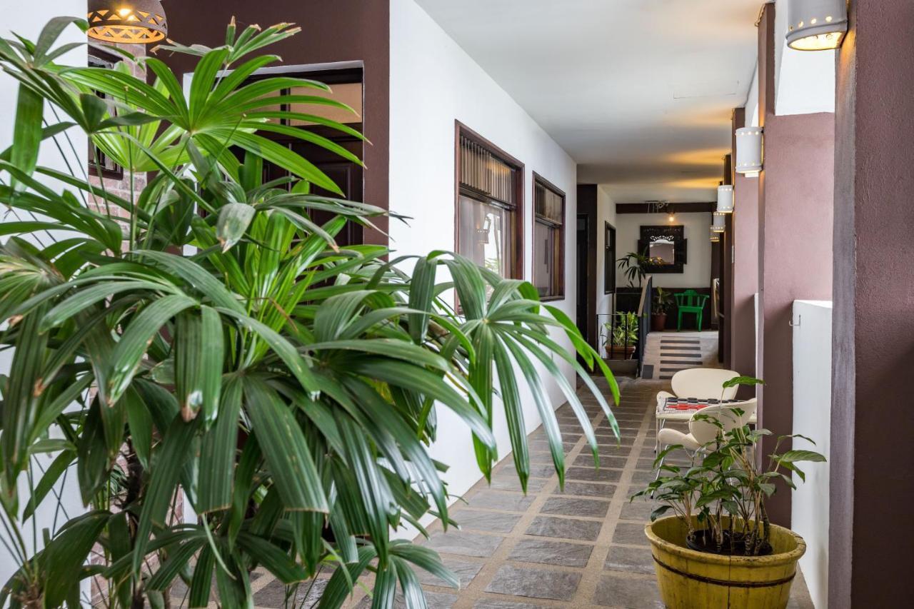 Alajuela City Hotel & Guest House المظهر الخارجي الصورة