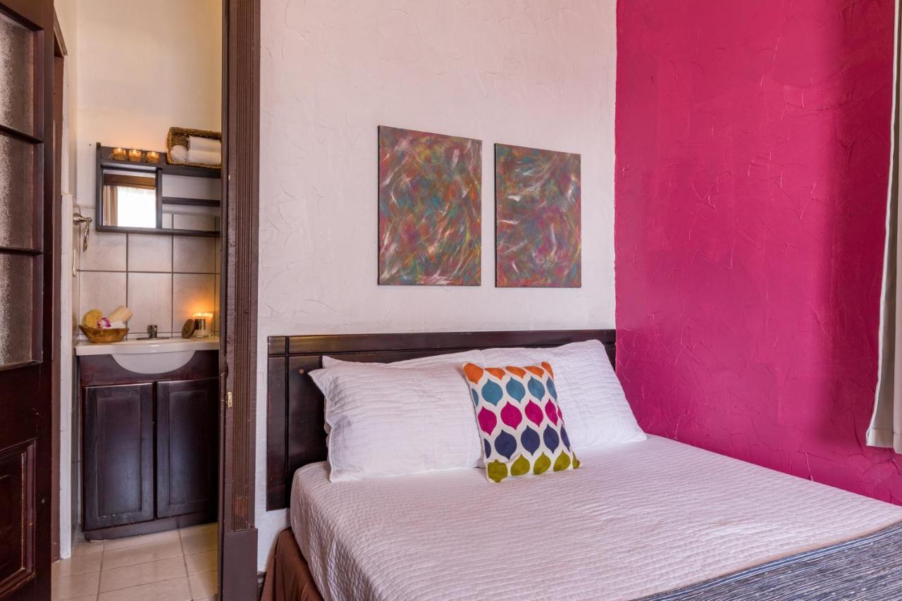 Alajuela City Hotel & Guest House المظهر الخارجي الصورة
